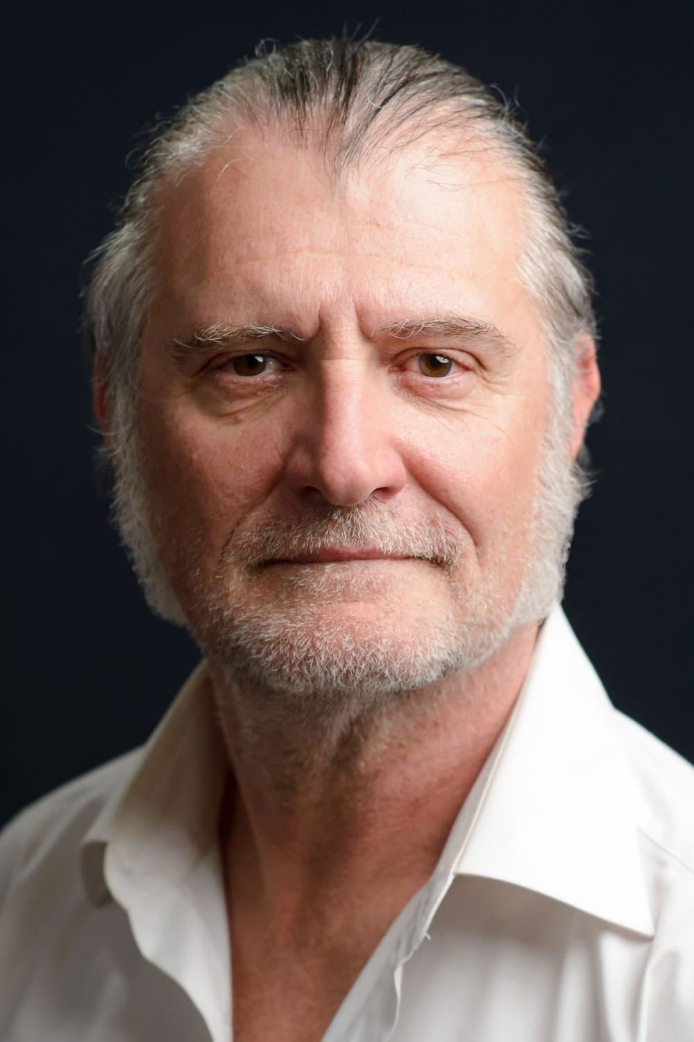 Miodrag Stojanović profile