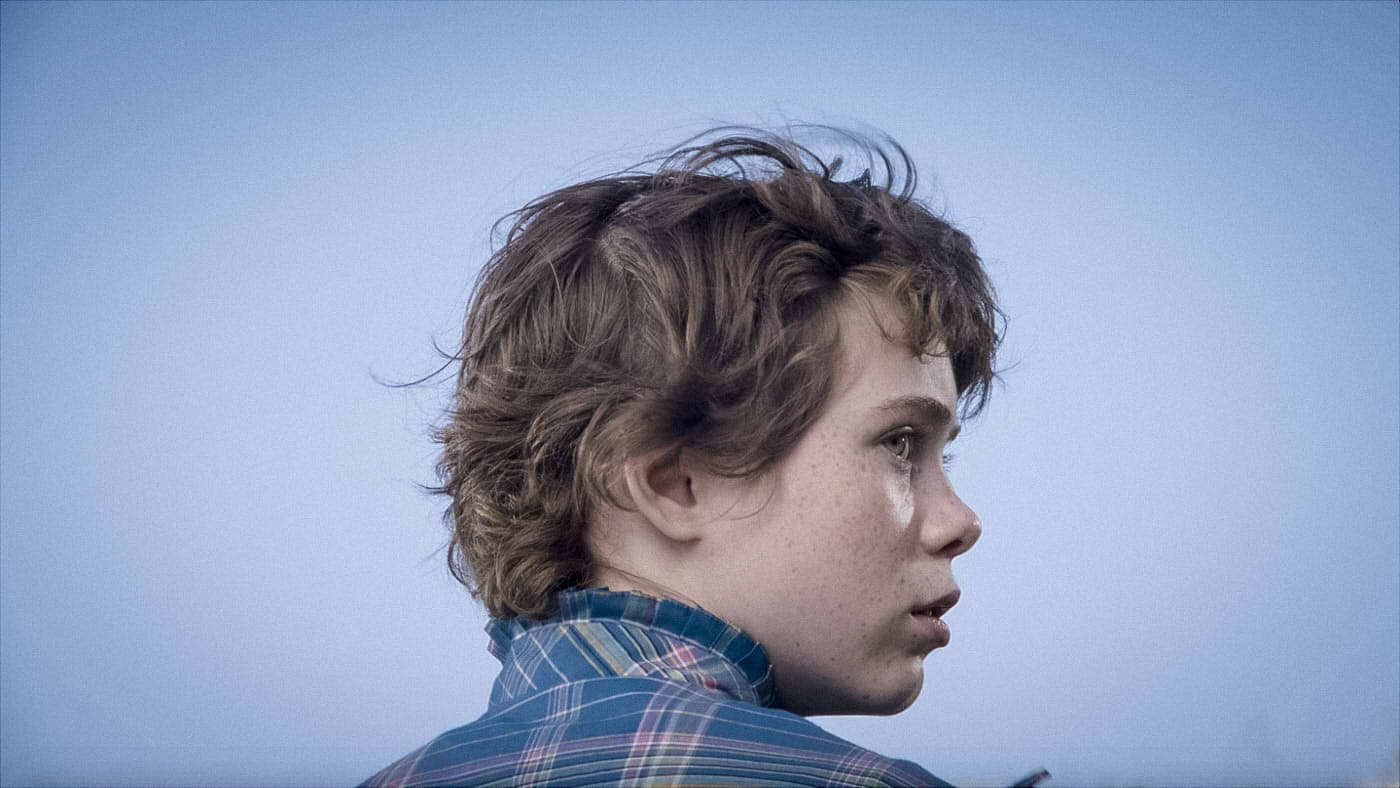 Tiny Mammals backdrop