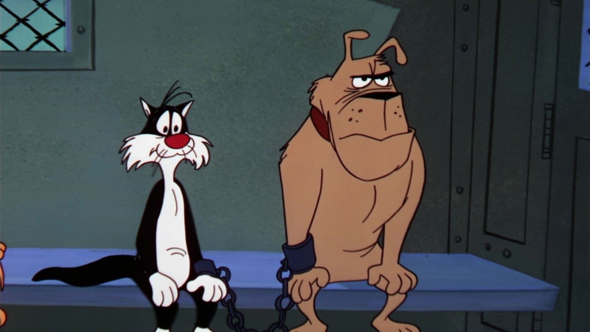 D' Fightin' Ones backdrop