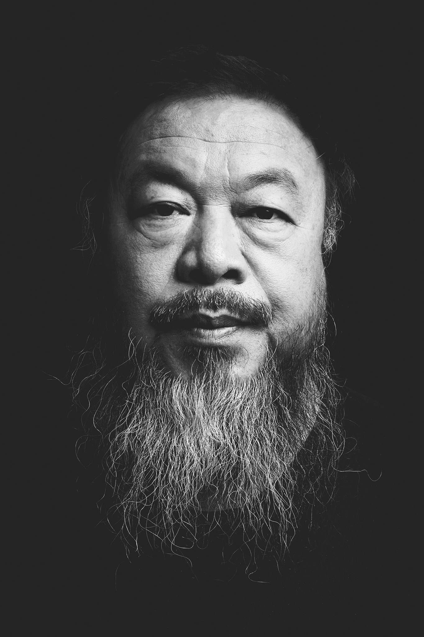 Ai Weiwei profile