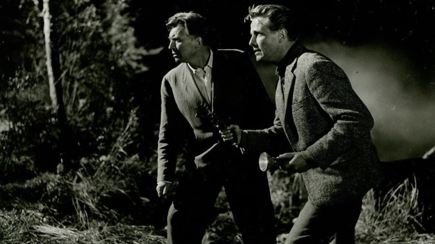 Der Schatz vom Toplitzsee