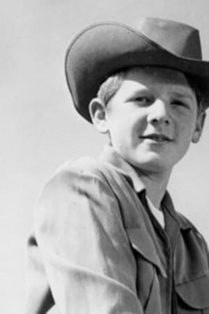 David Stollery profile