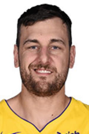 Andrew Bogut profile