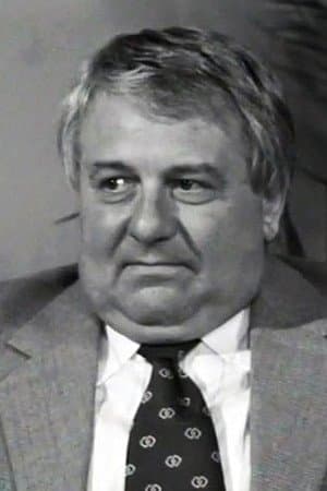 Josef Karlík profile