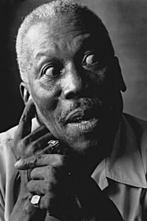 Tiger Haynes profile