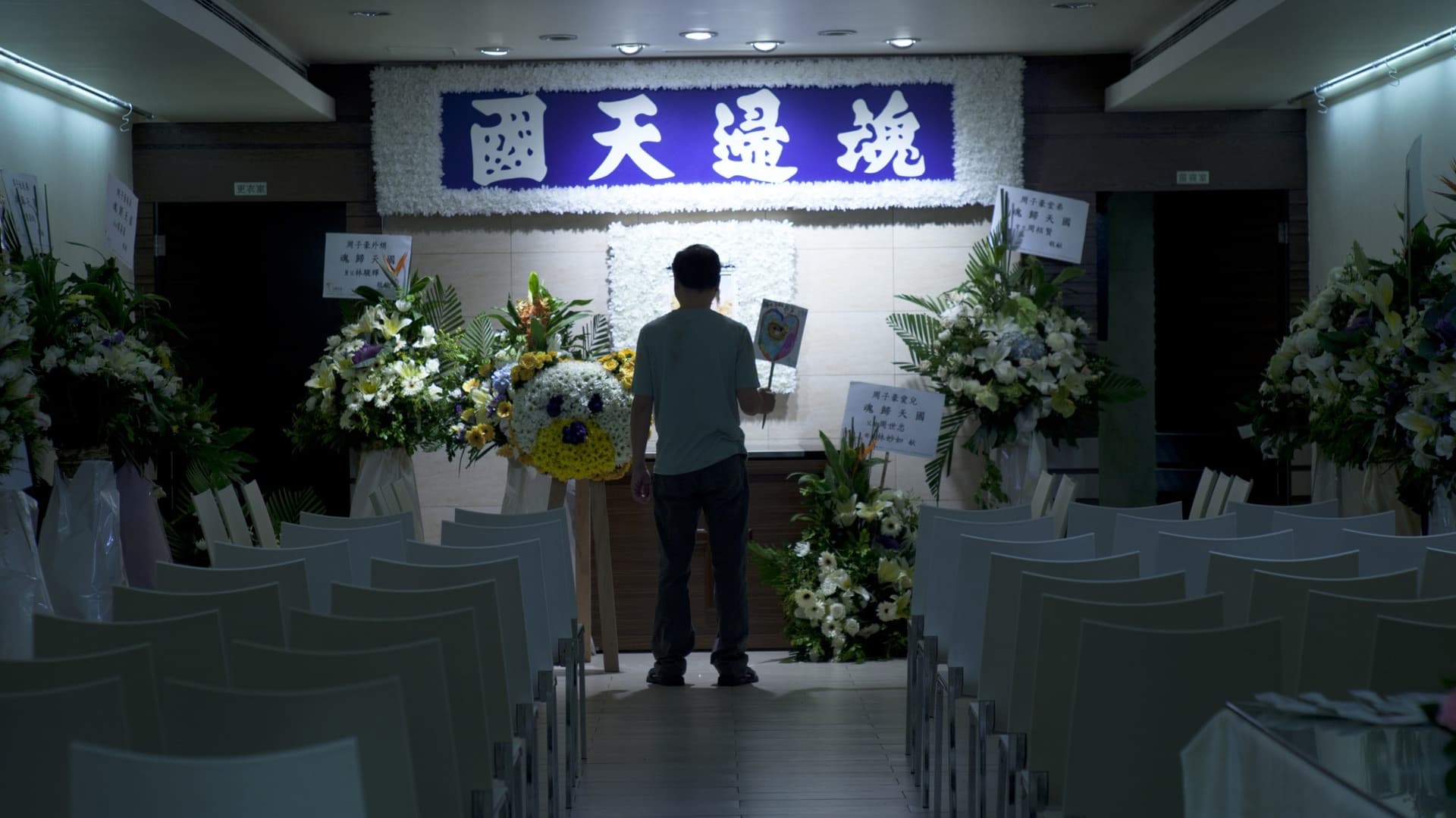 Flowers with Aphasia backdrop