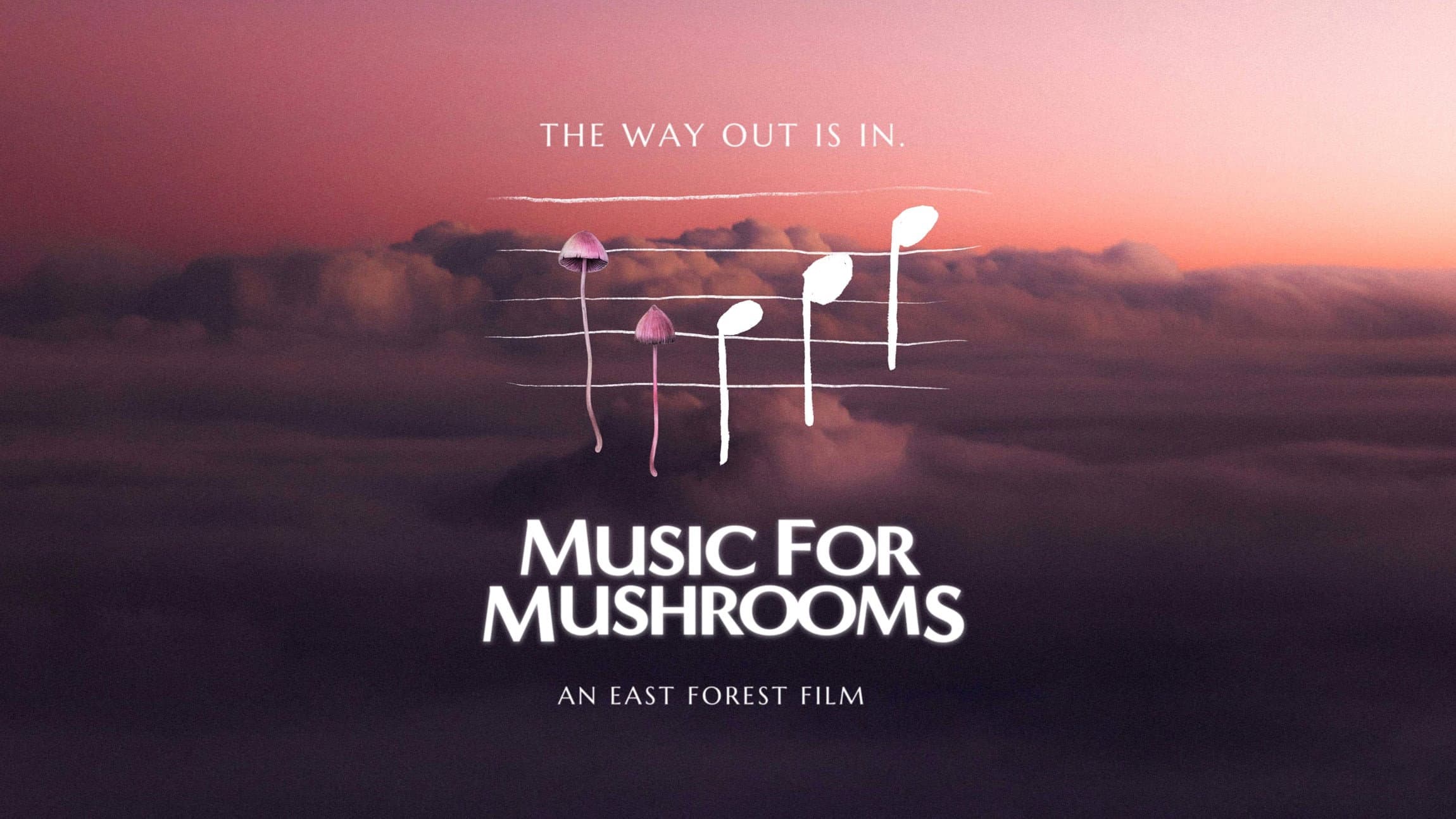 Music for Mushrooms