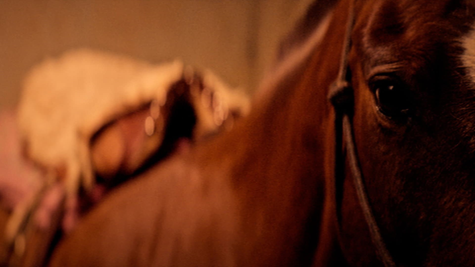 Media Sangre backdrop