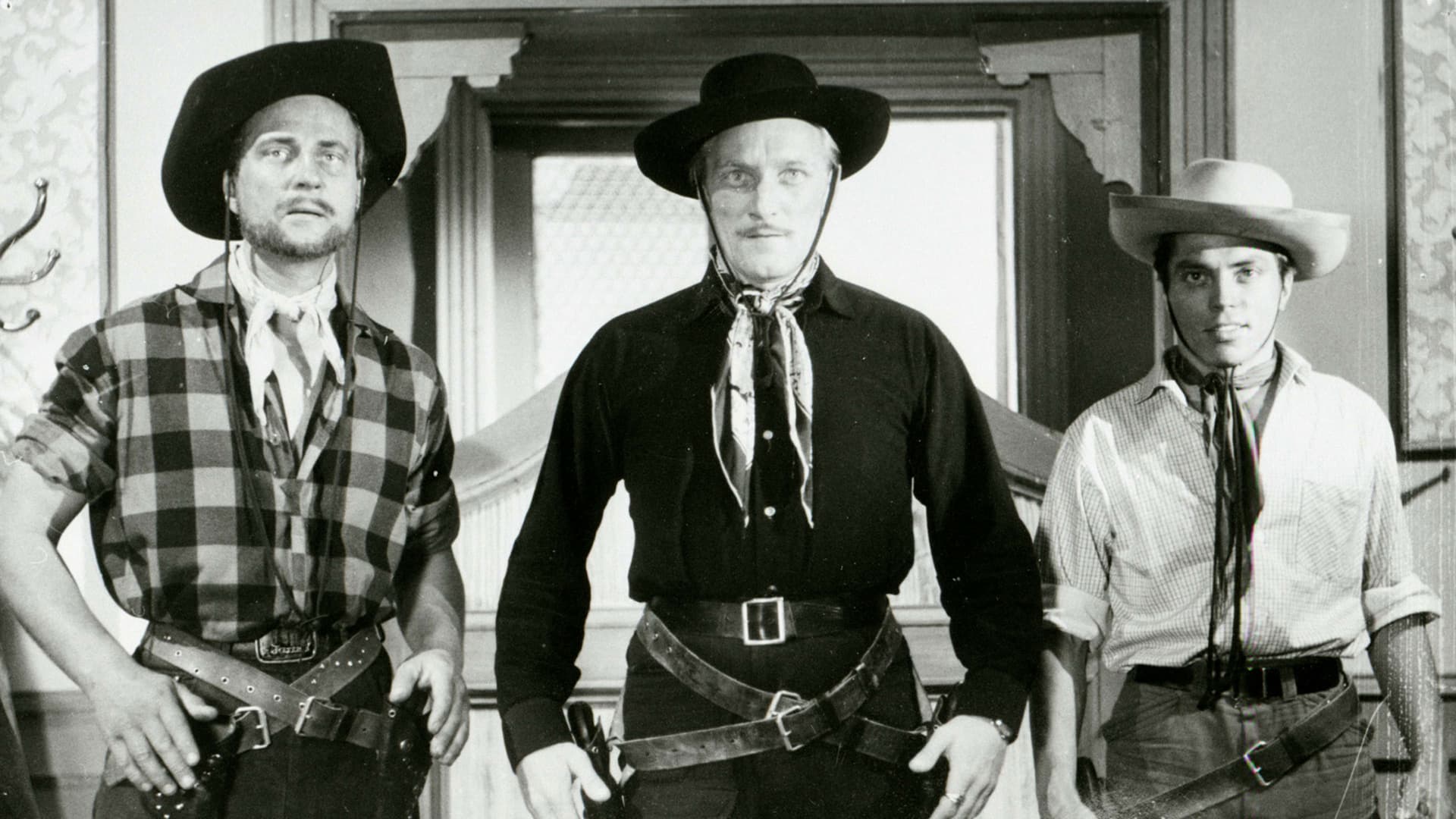 Villin Pohjolan kulta backdrop