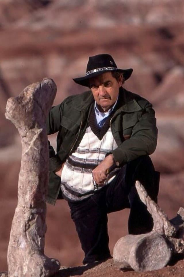 Rubén Carolini profile