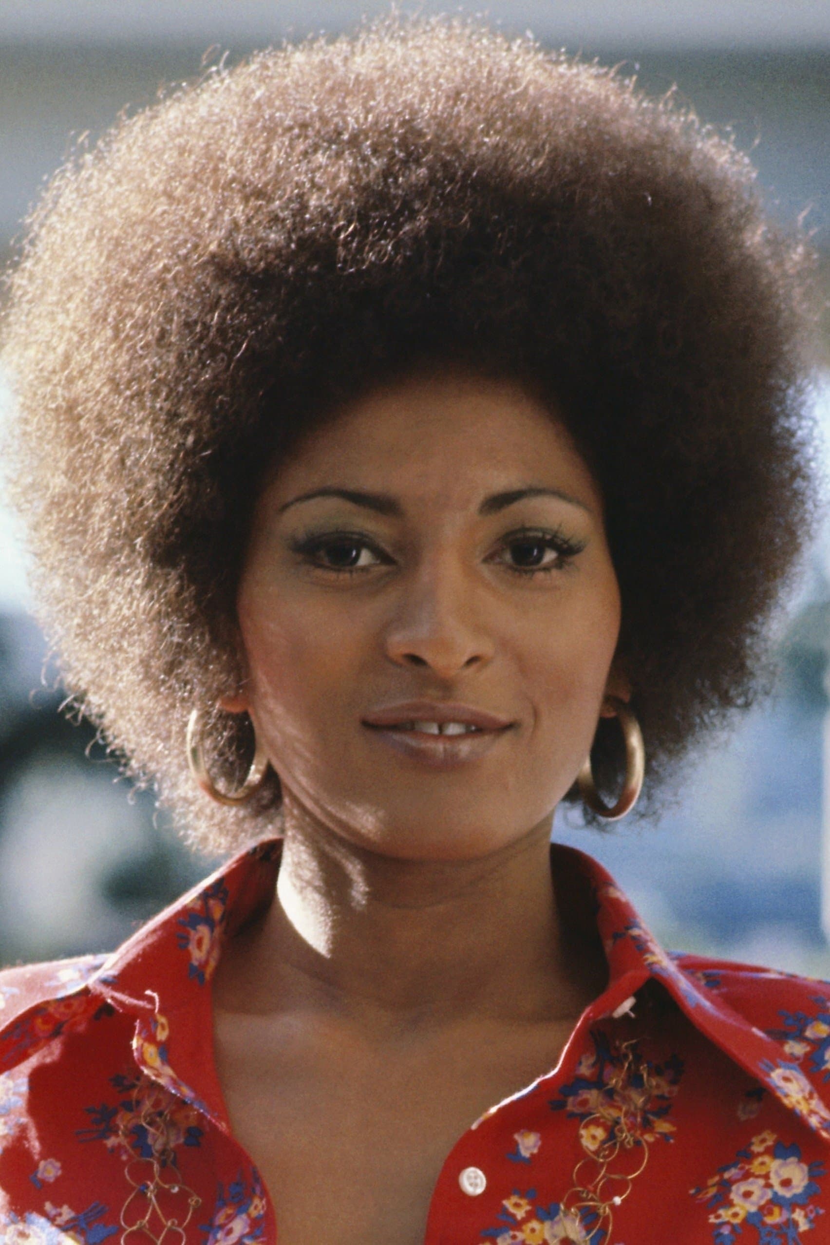 Pam Grier profile
