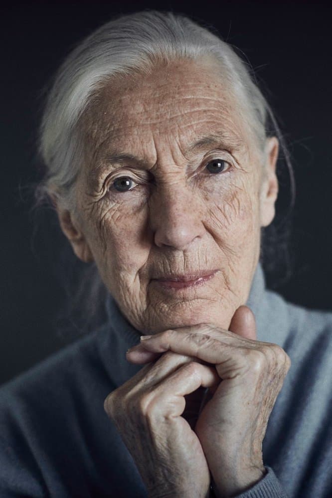 Jane Goodall profile