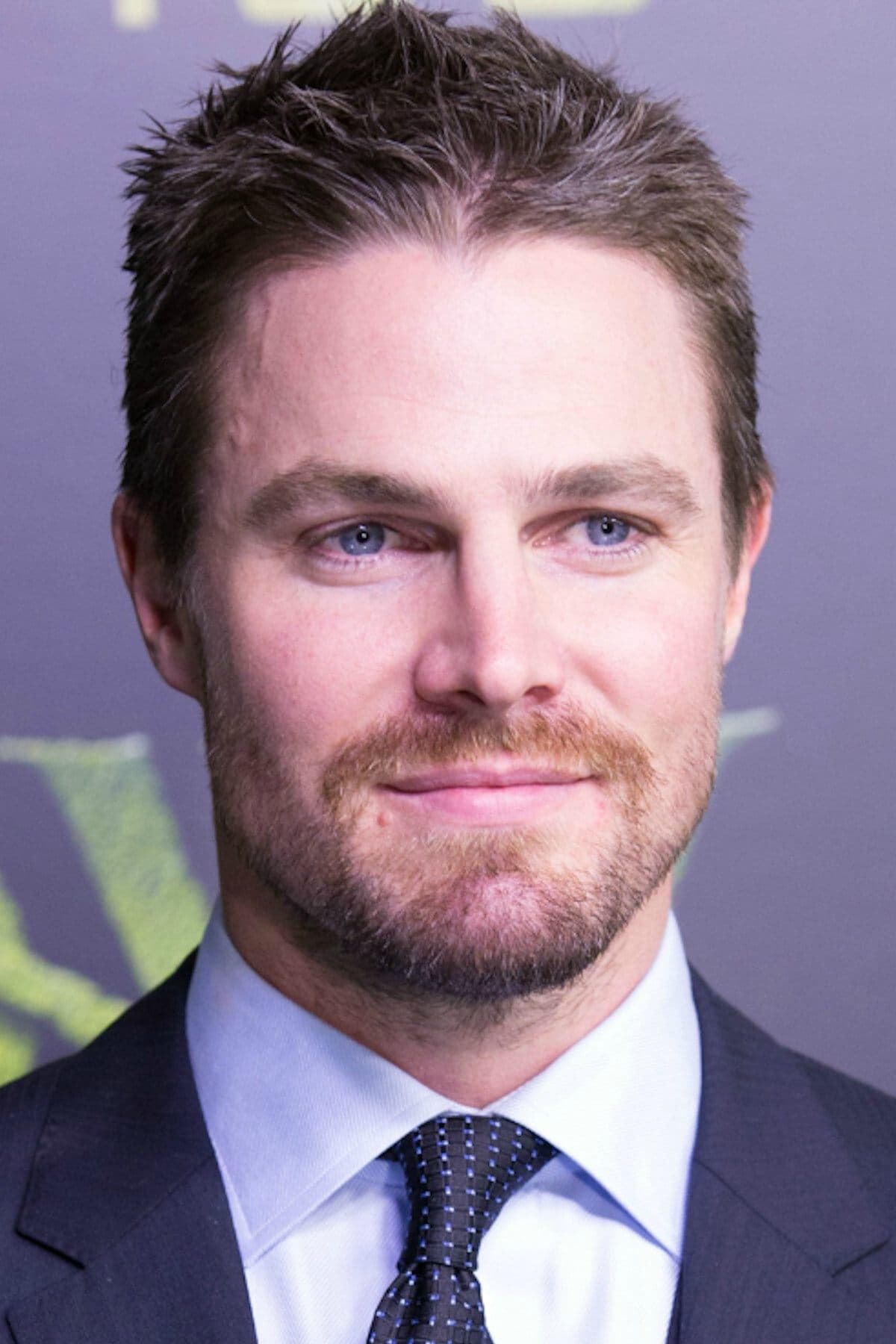 Stephen Amell profile