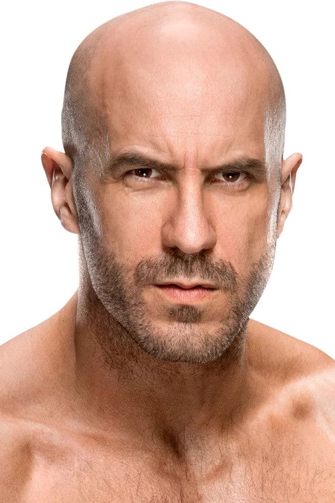 Claudio Castagnoli profile