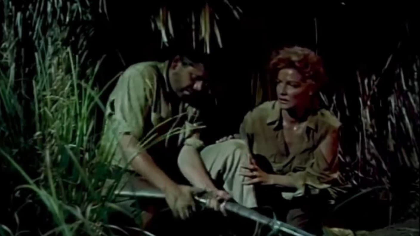 Appointment in Honduras backdrop