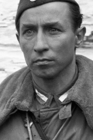 Tadeusz Somogi profile