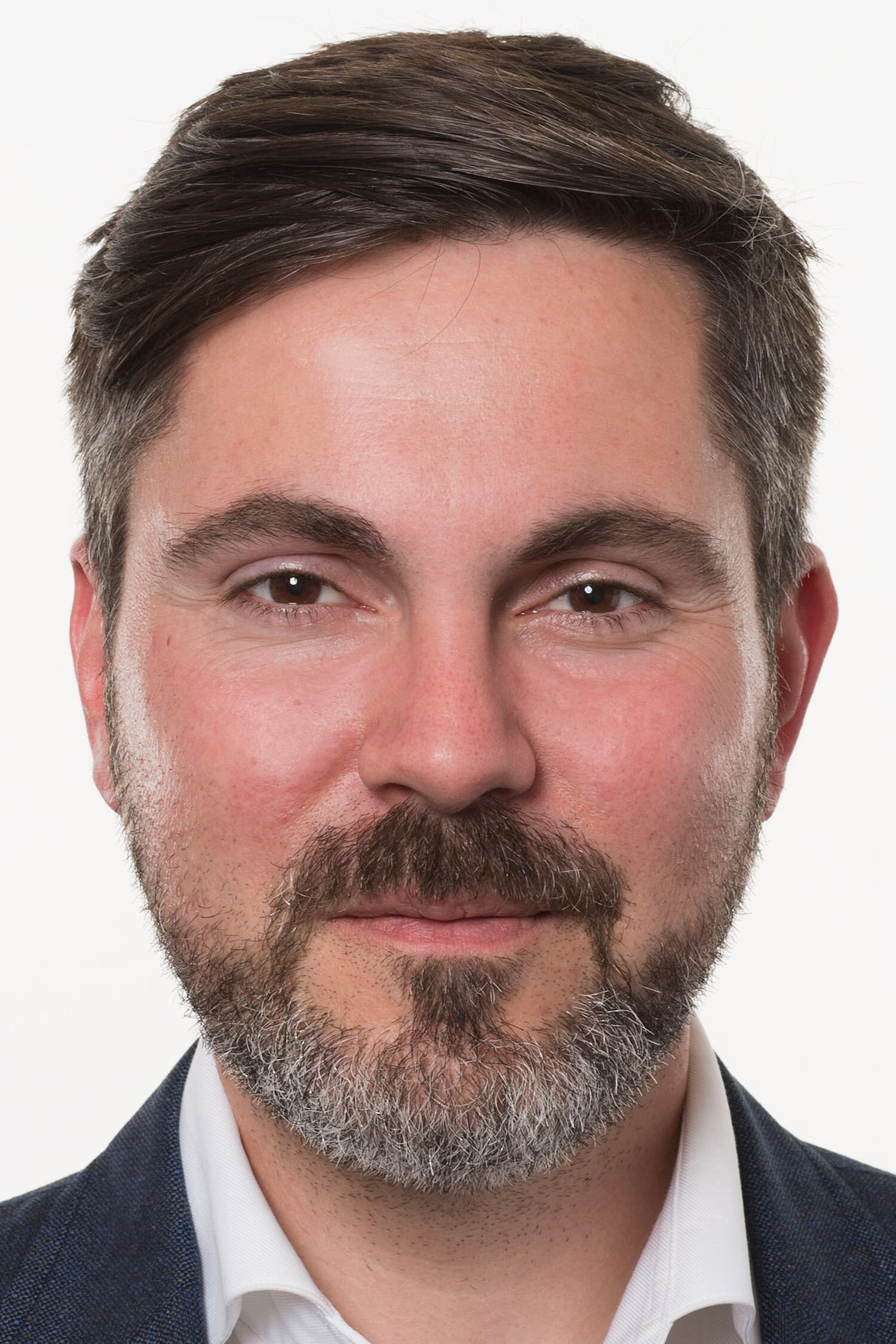 Fabio De Masi profile