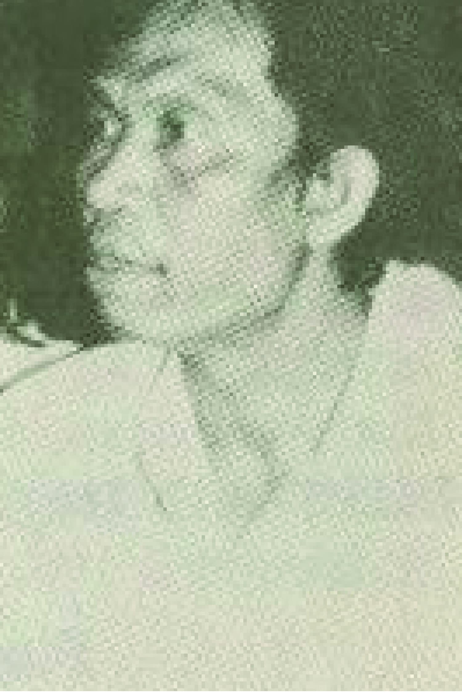 Bung Salim profile