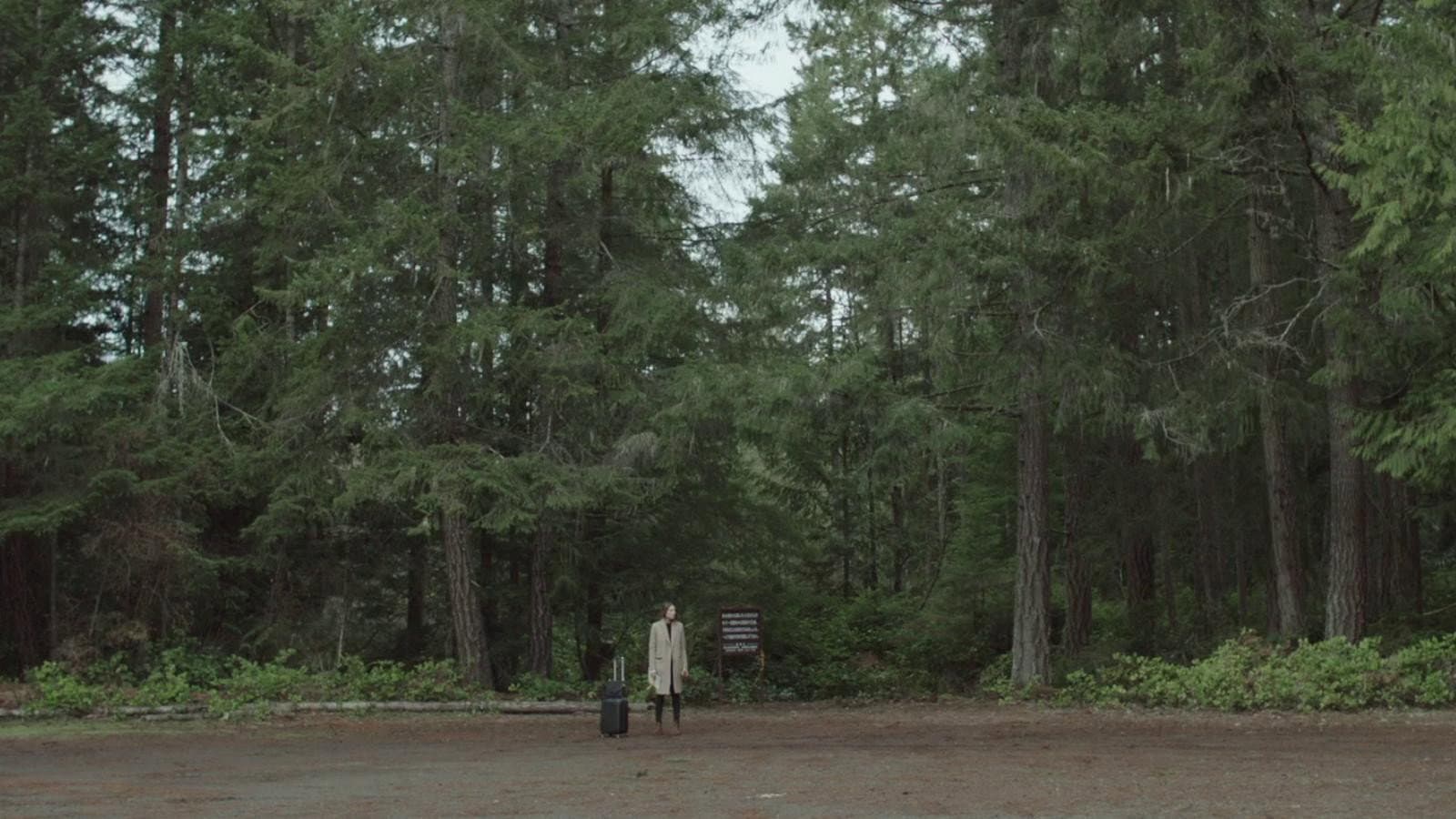 The People Garden backdrop