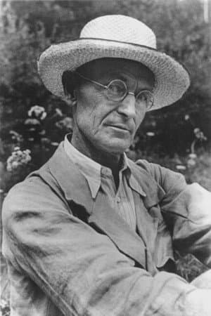Hermann Hesse profile