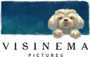 Visinema Pictures