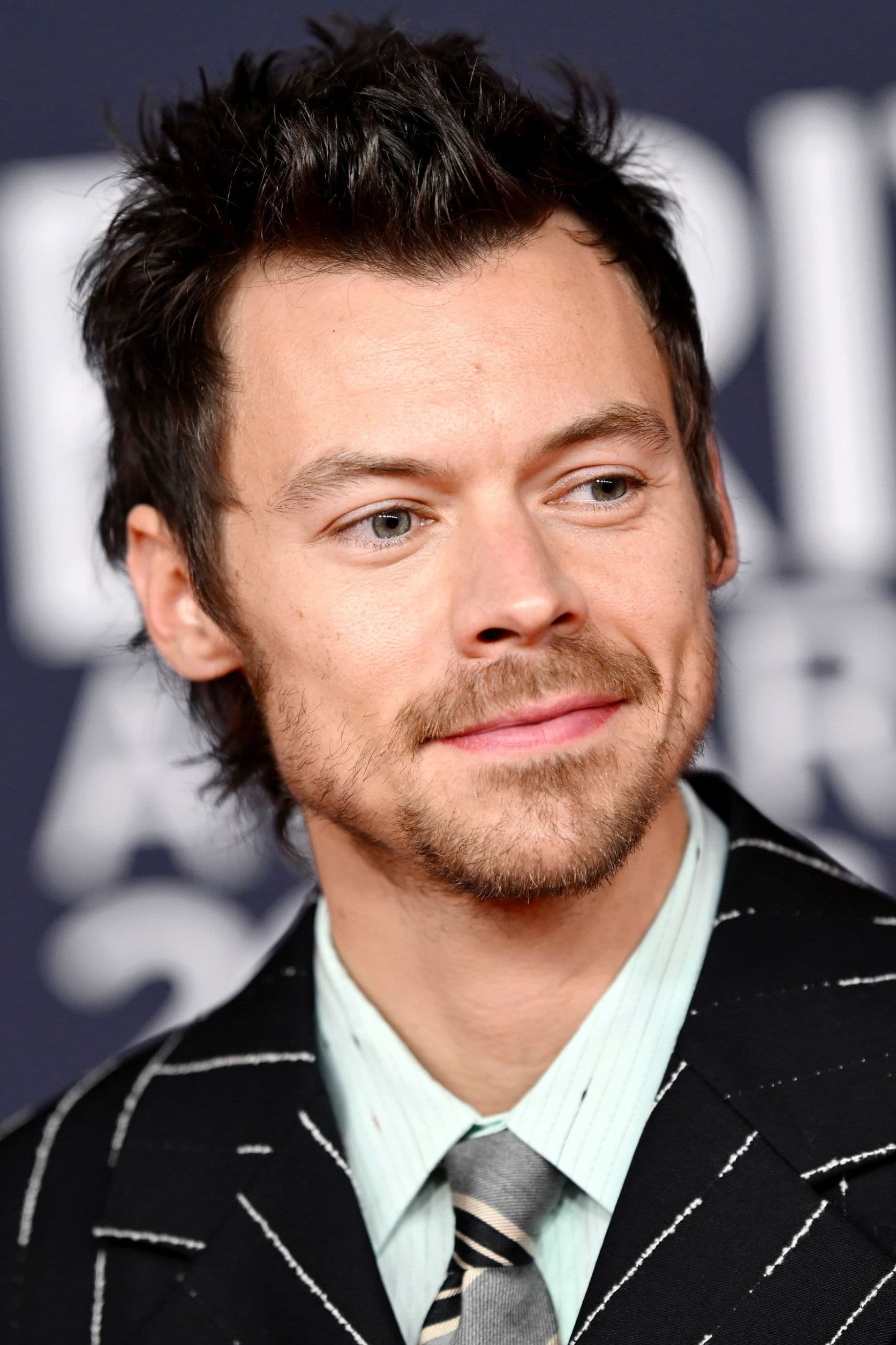 Harry Styles profile