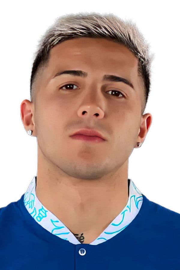 Enzo Fernández profile