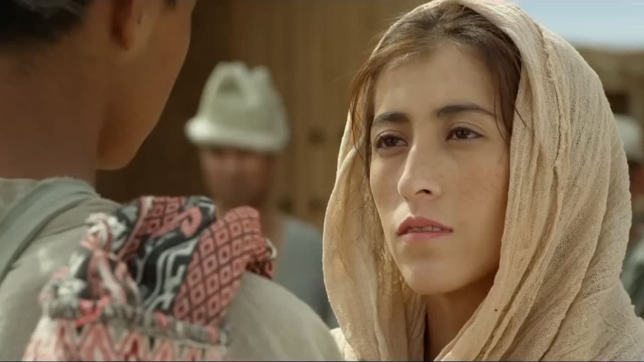 Bloody Border backdrop