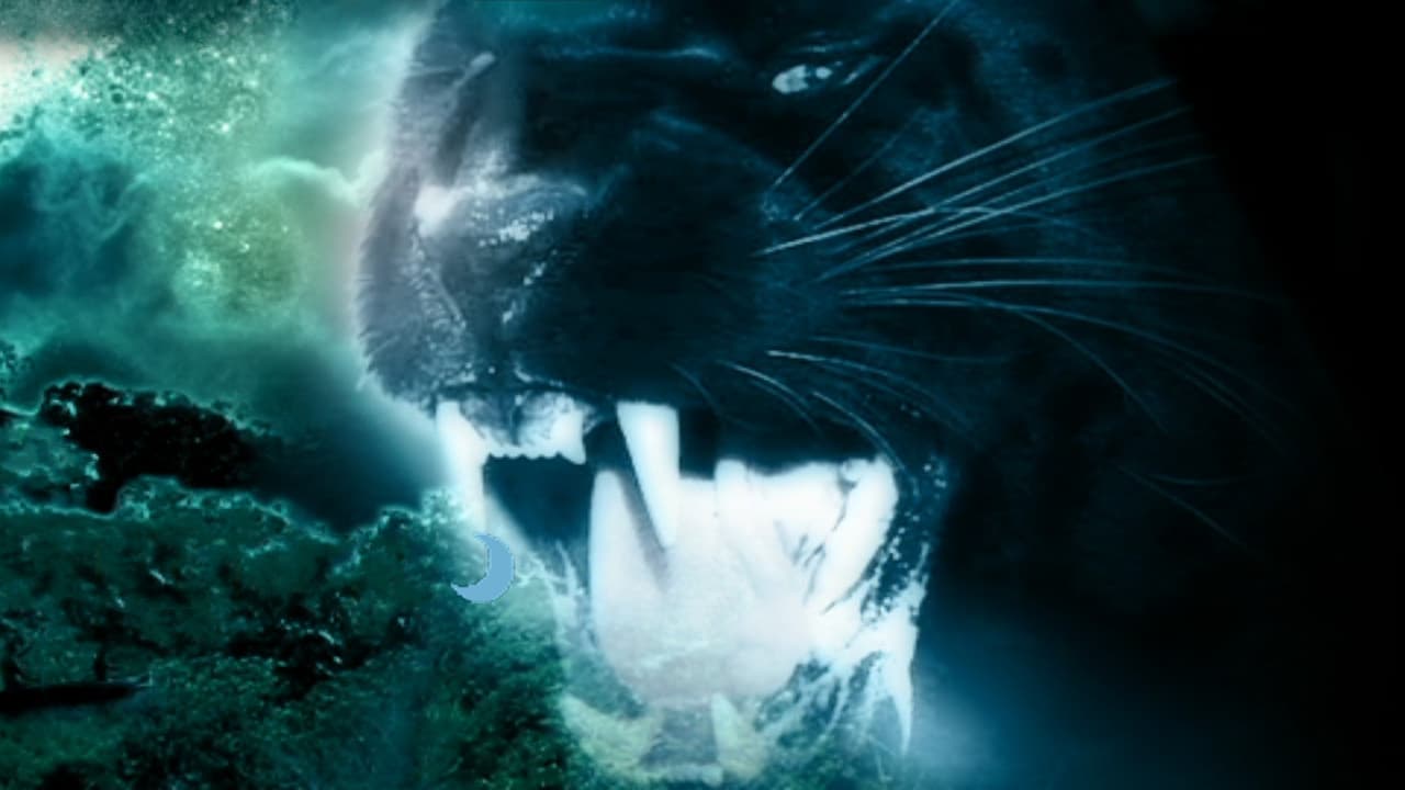 Night Creature backdrop