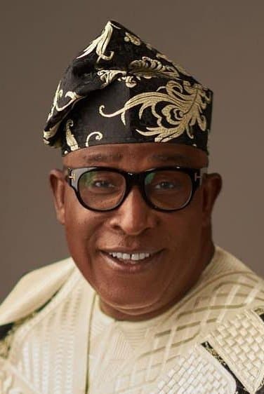 Adebayo Salami profile