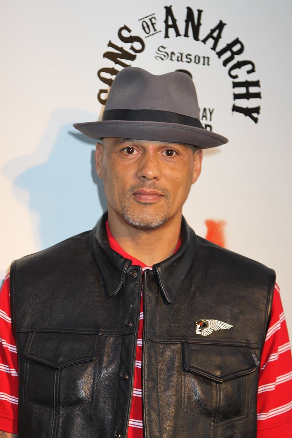 David Labrava profile
