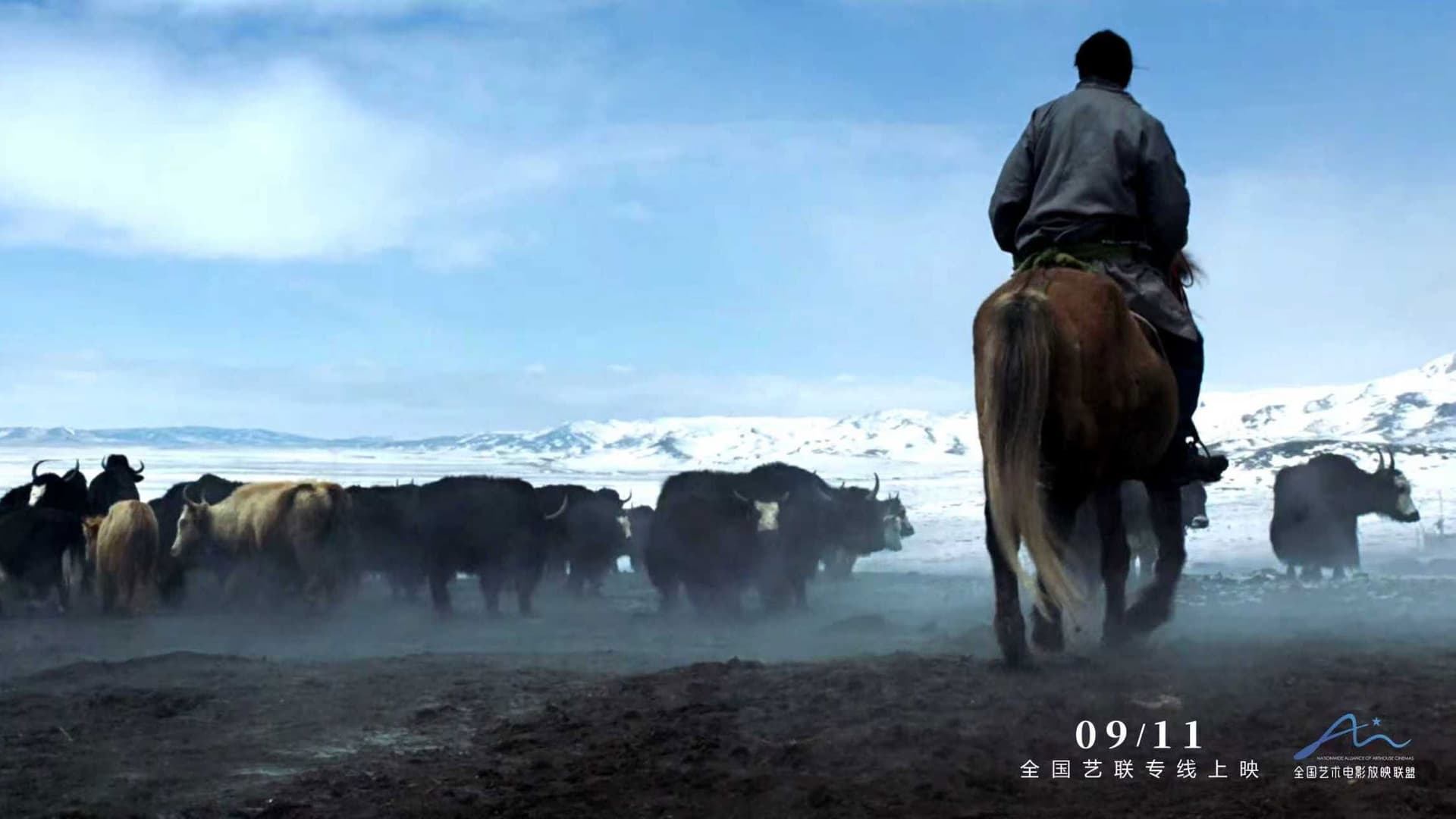 Life of Luosang backdrop