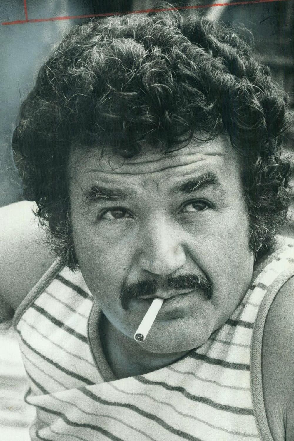 Bruno Gerussi profile