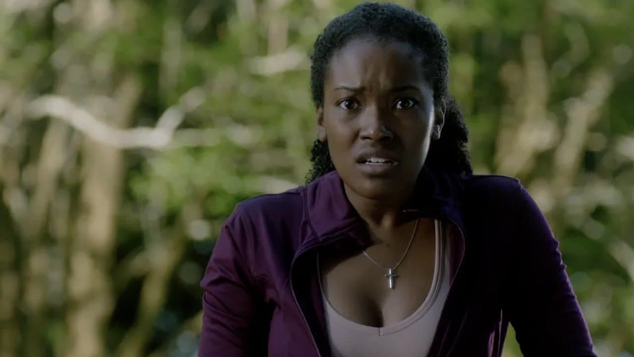 Don't Look Back backdrop