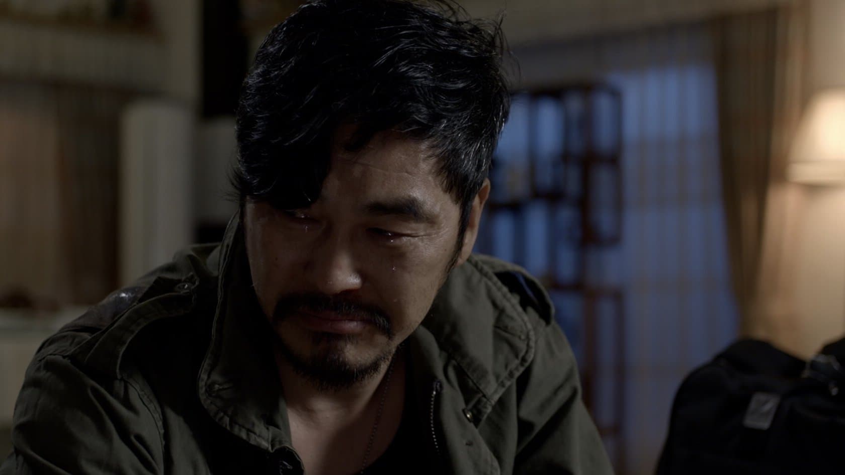 Dogs in the House backdrop