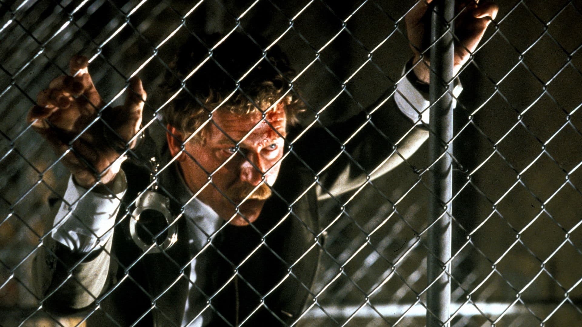 The Black Marble backdrop