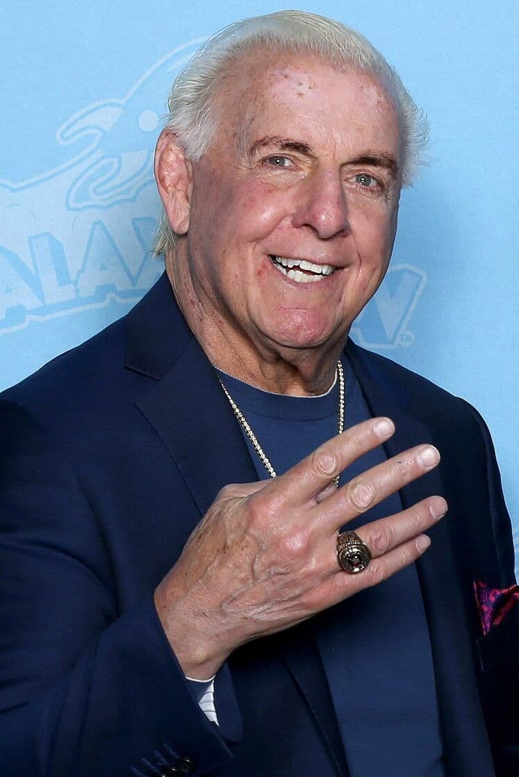 Ric Flair profile