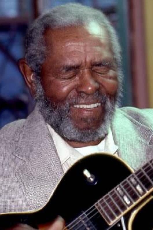 Brownie McGhee profile