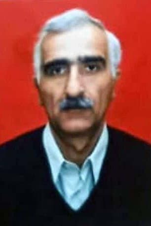 Shamsi Gadirov profile