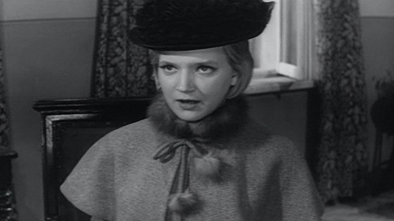 No Password Necessary backdrop