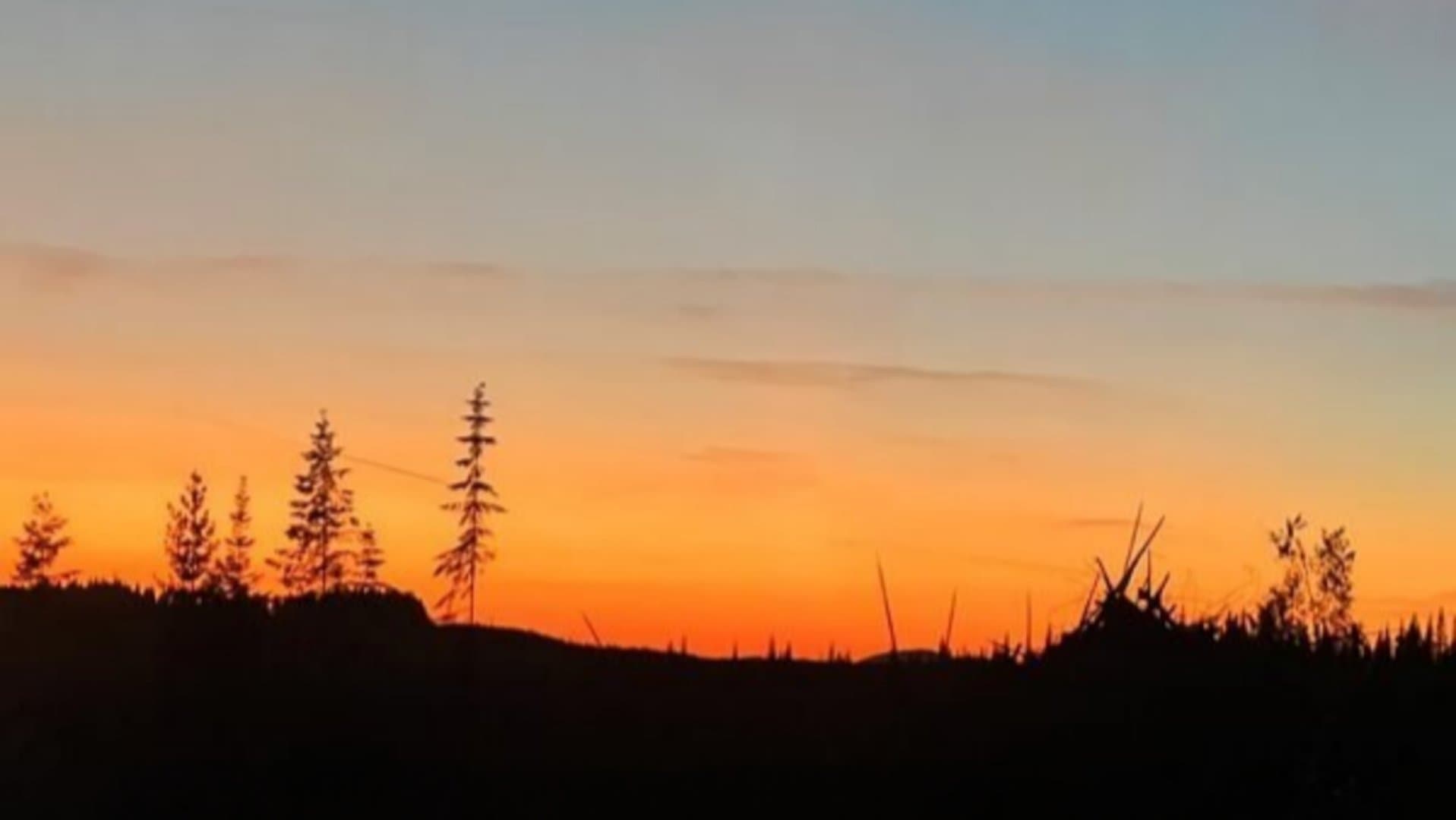 Idaho Fallen backdrop
