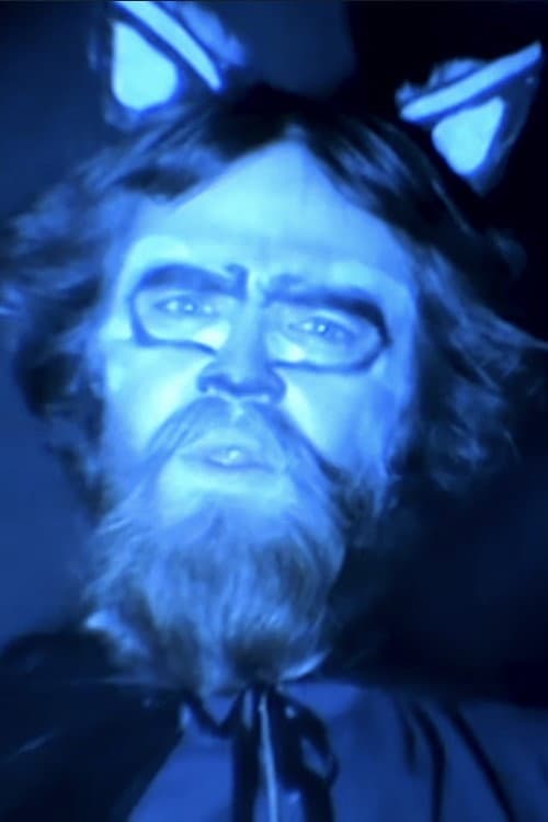 Curran Foster profile