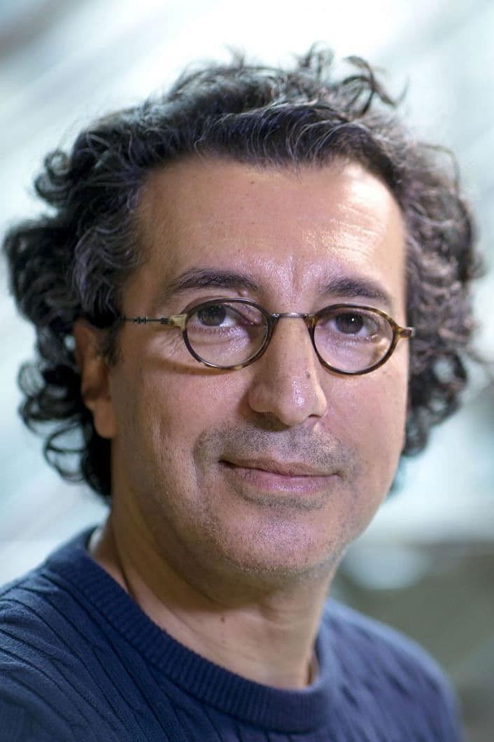 Nadir Moknèche profile