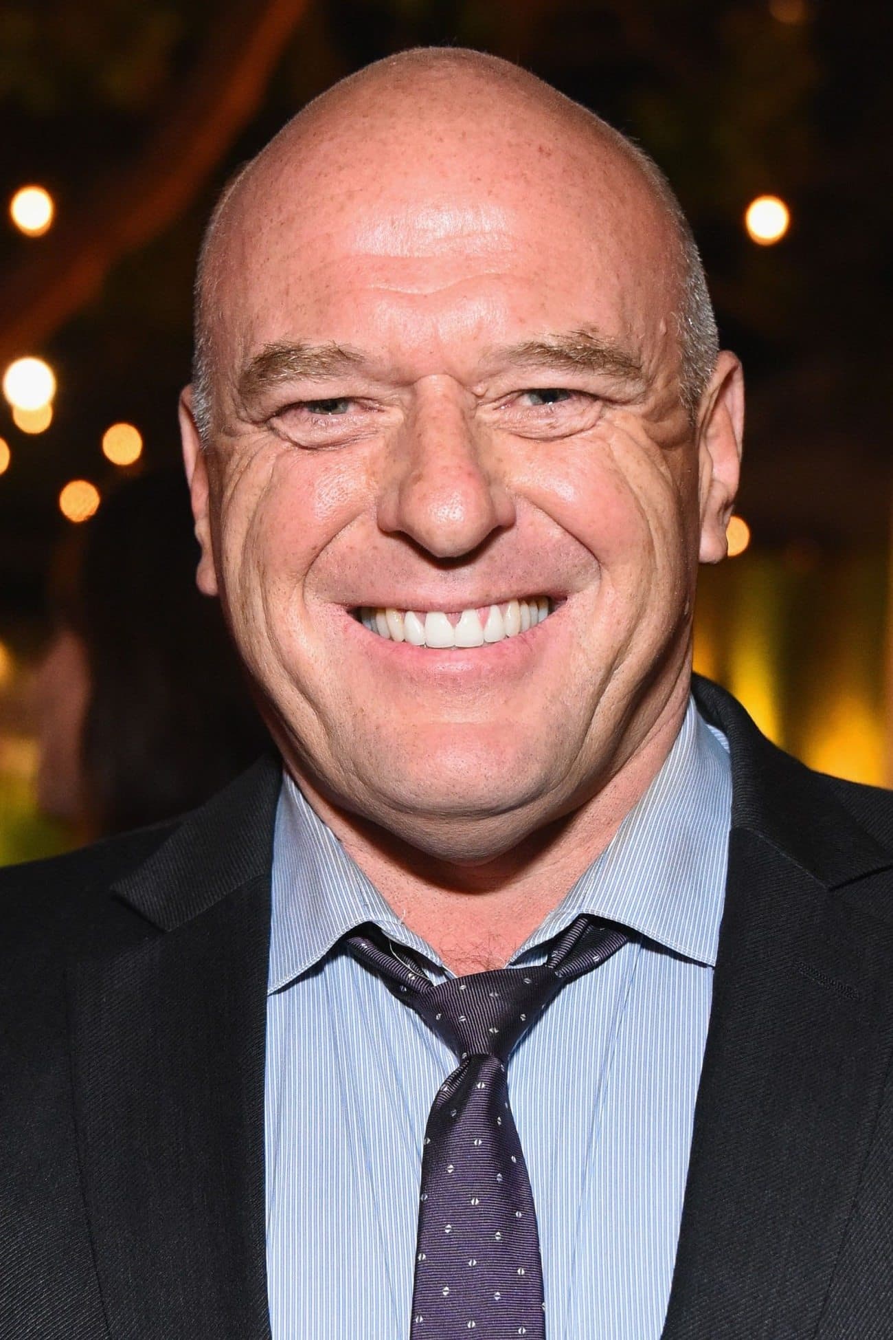 Dean Norris profile