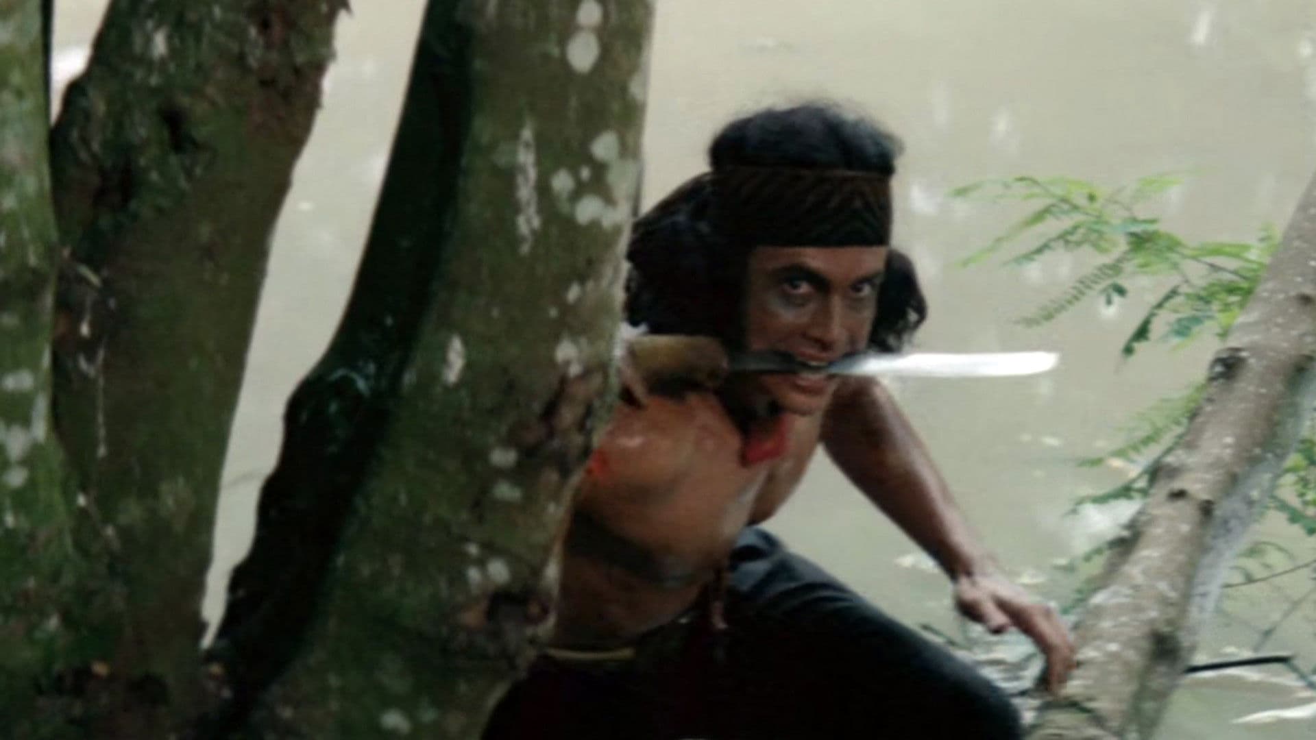 The Warrior backdrop