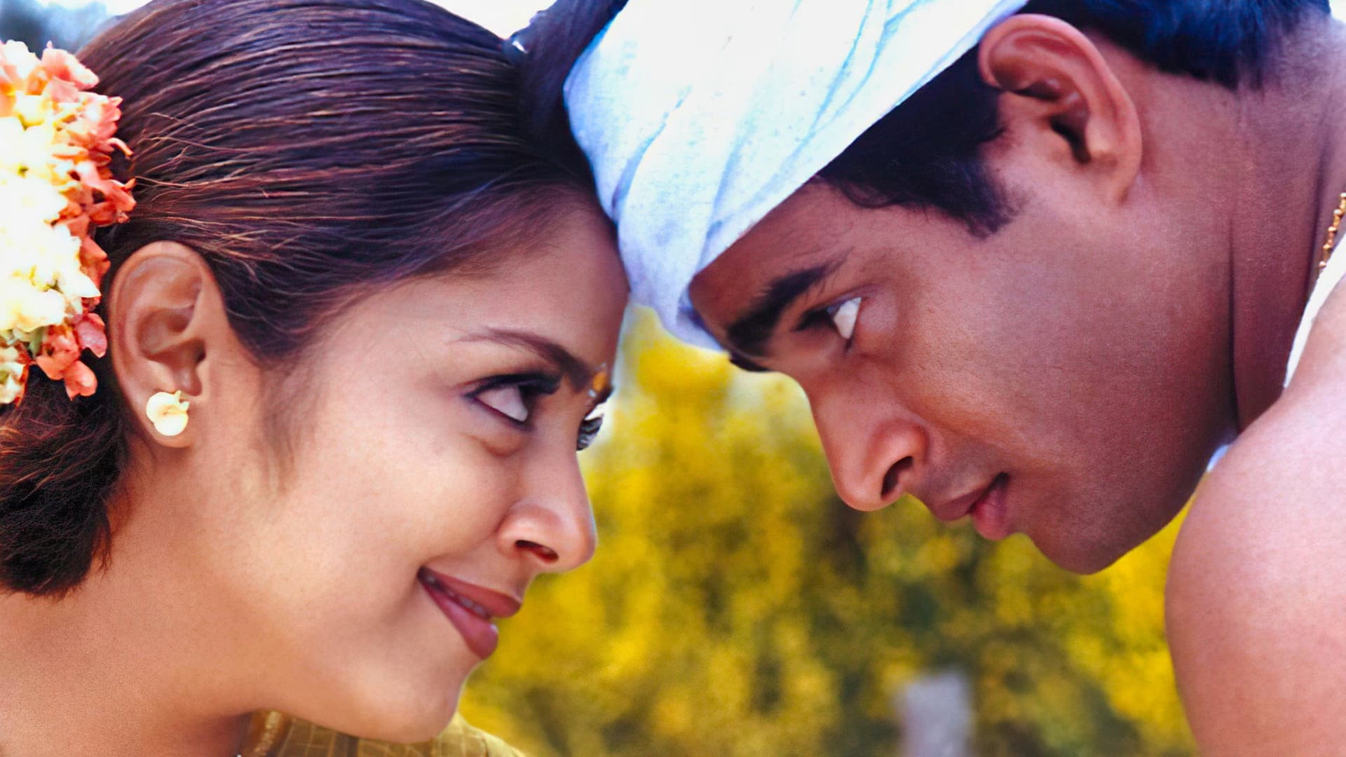 Dum Dum Dum backdrop