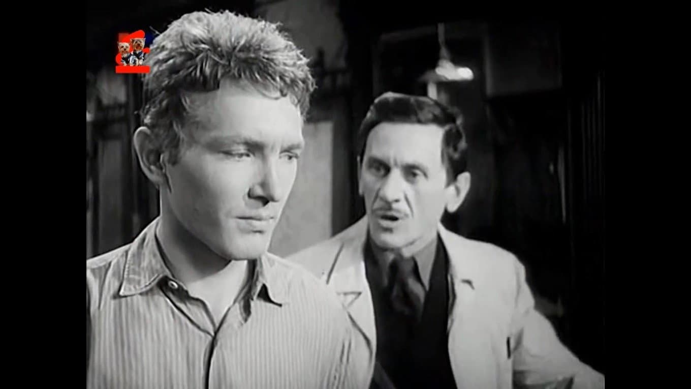 Saint Elizabeth Square backdrop