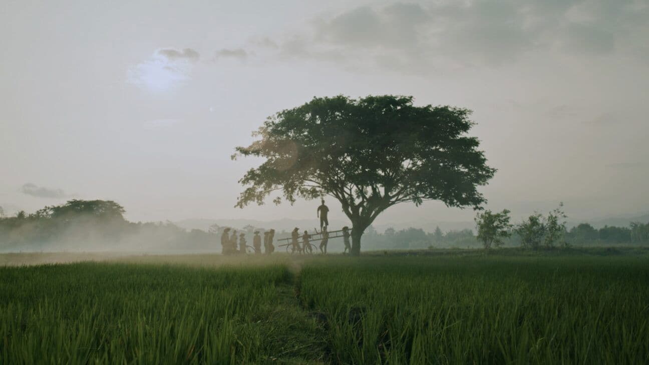 The Hole, 309 Days to the Bloodiest Tragedy backdrop