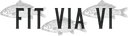 Fit Via Vi