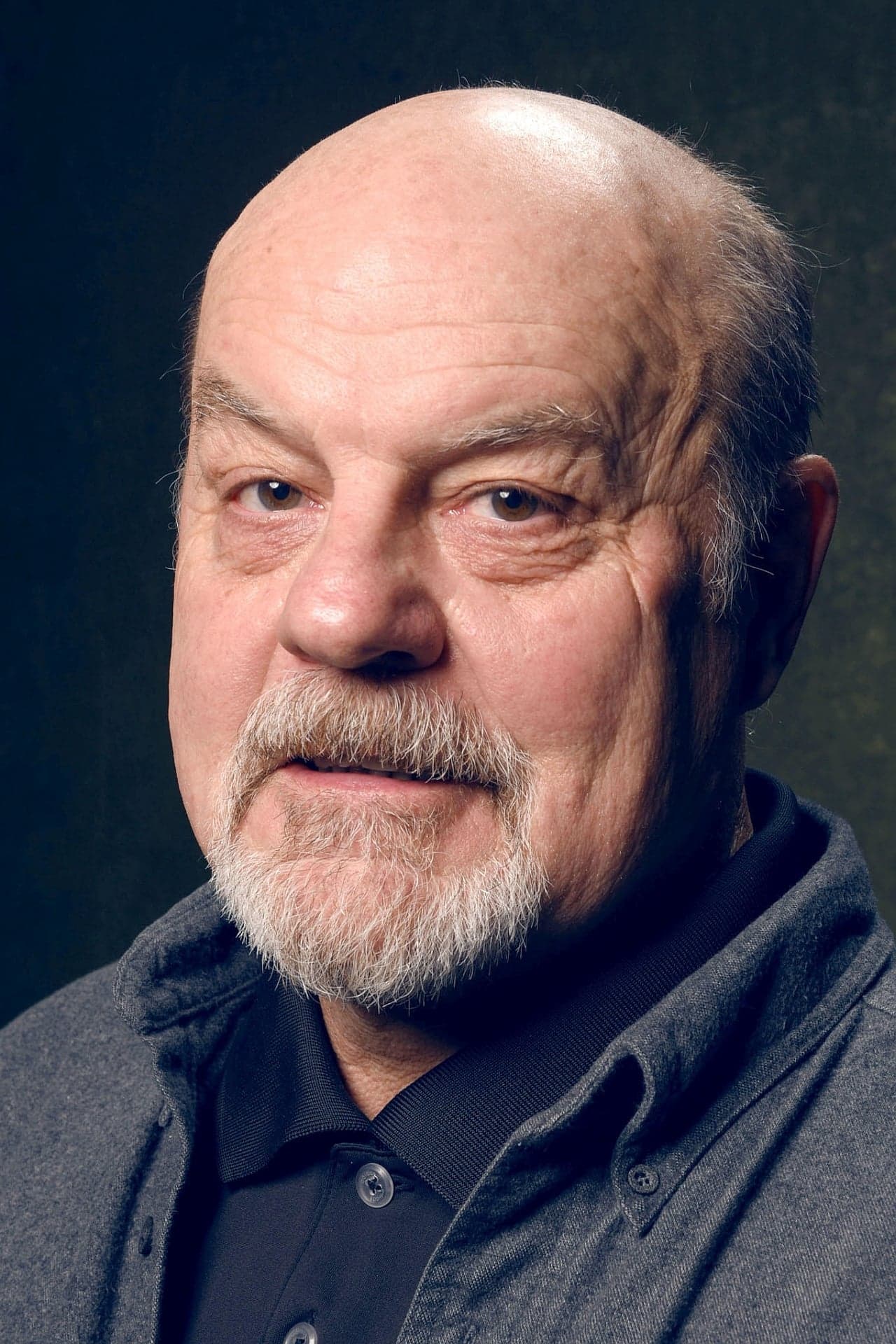 Michael Ironside profile